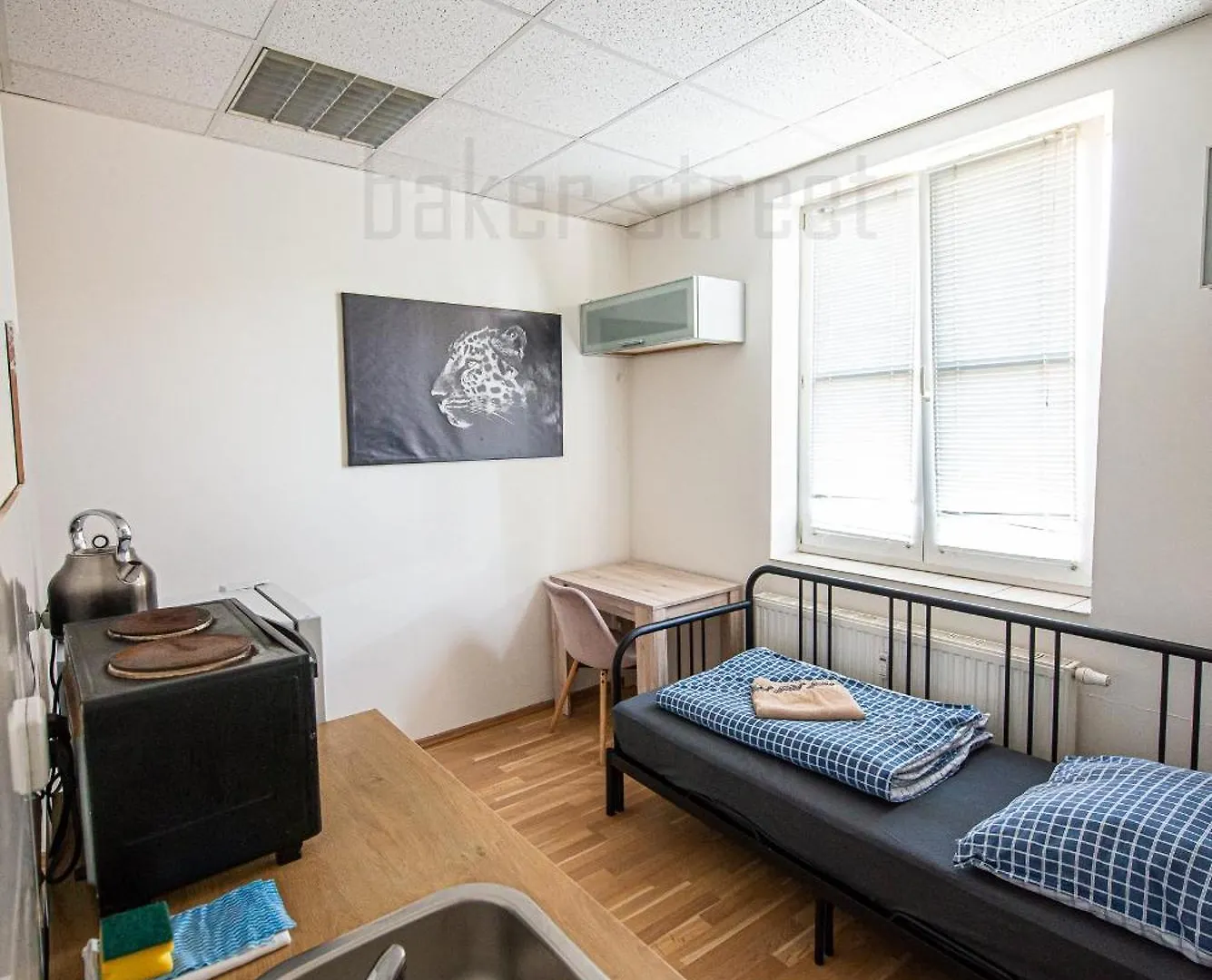 アパート Snug Room Close To Metro Palmovka プラハ